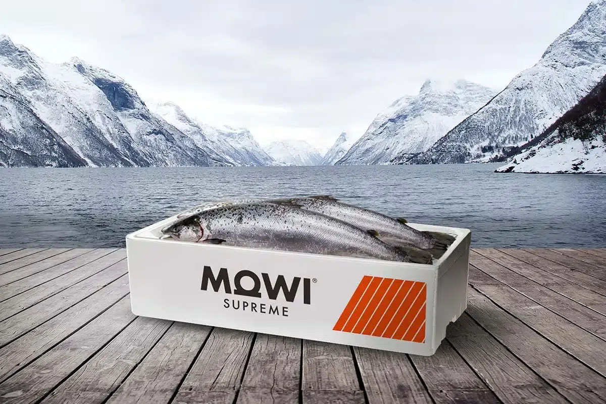 WSC_Home_MOWI Branding Mowi. Packaging pescado