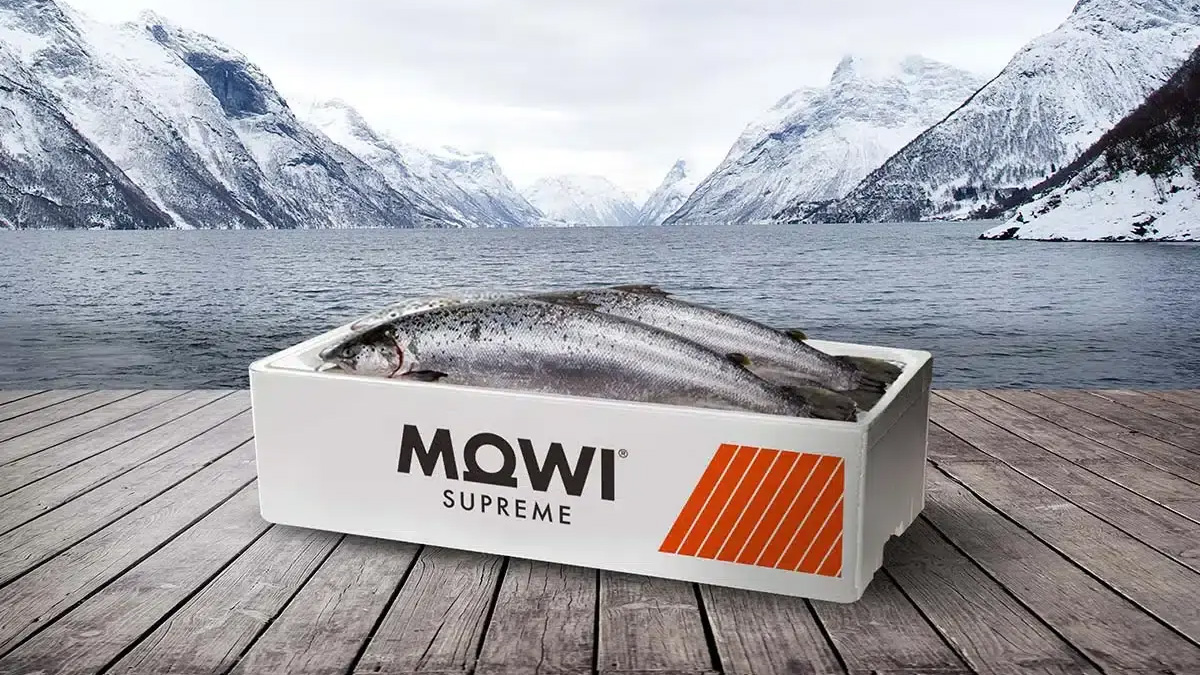 imaginity_mowi-supreme_packaging-design_salmon-box-1 Branding Mowi packaging pescado